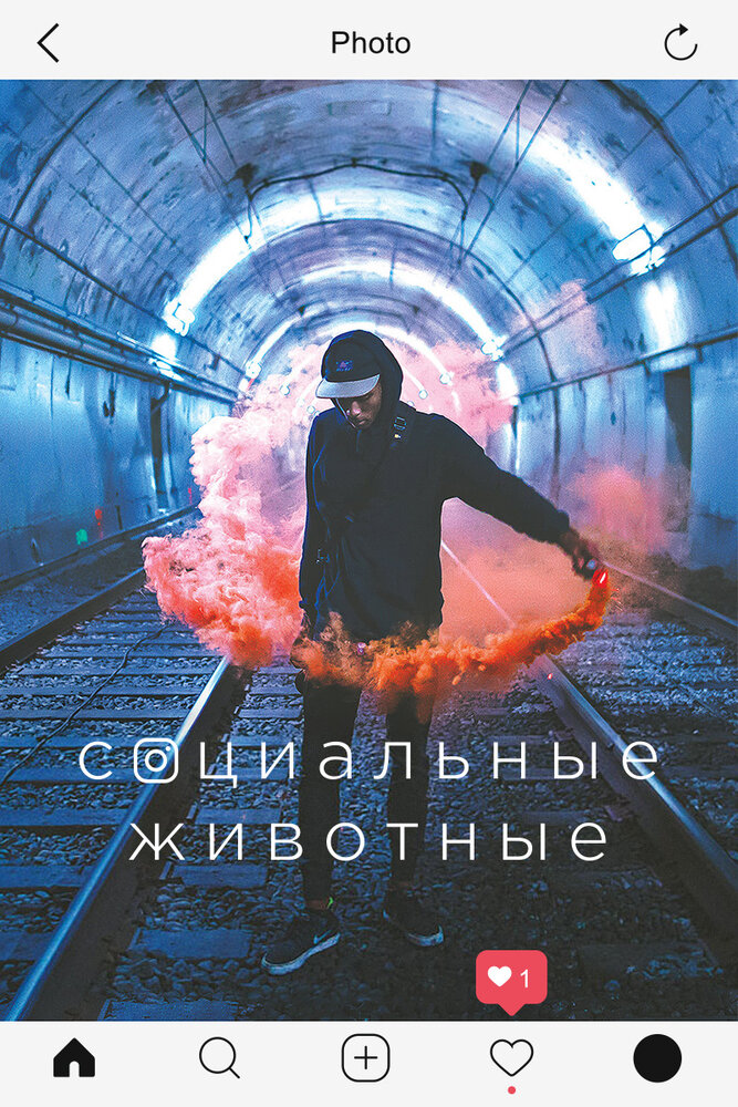 Социальные животные (2018)