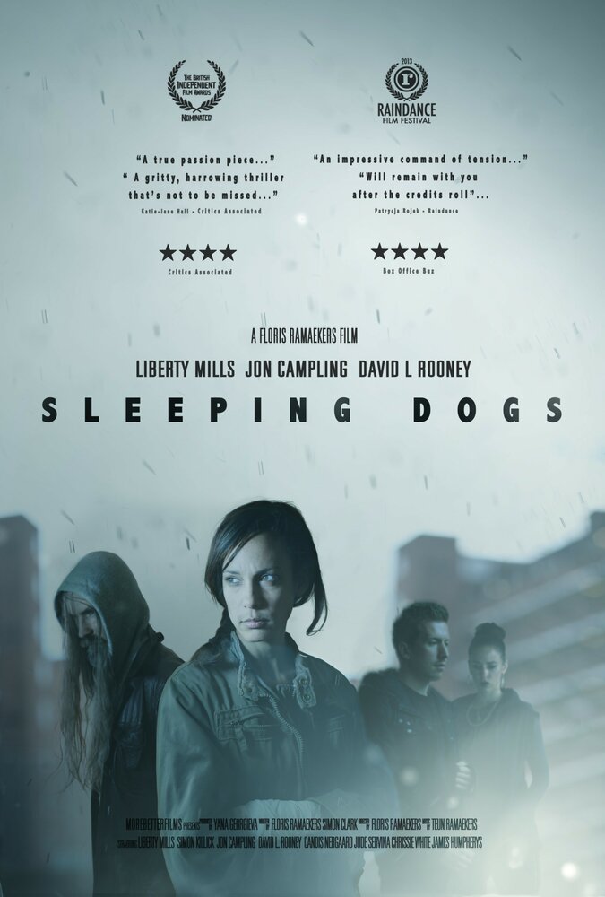 Sleeping Dogs (2013)