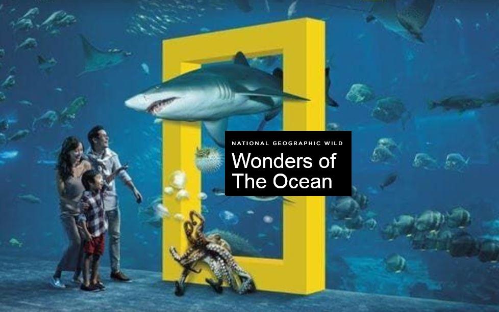 Wonders of the Ocean (2019)