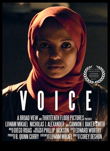 Voice (2017)